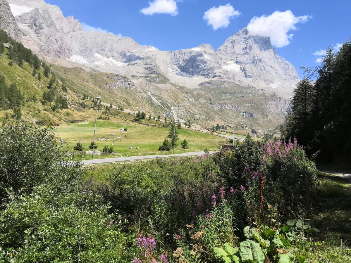 Ferienwohnung Le Petit Refuge Cervinia Breuil-Cervinia Exterior foto